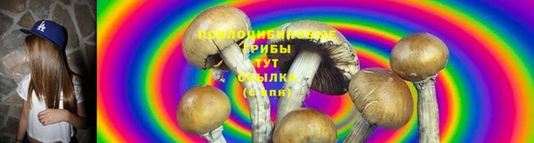 ALPHA-PVP Богородицк