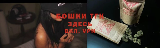 экстази Богородск